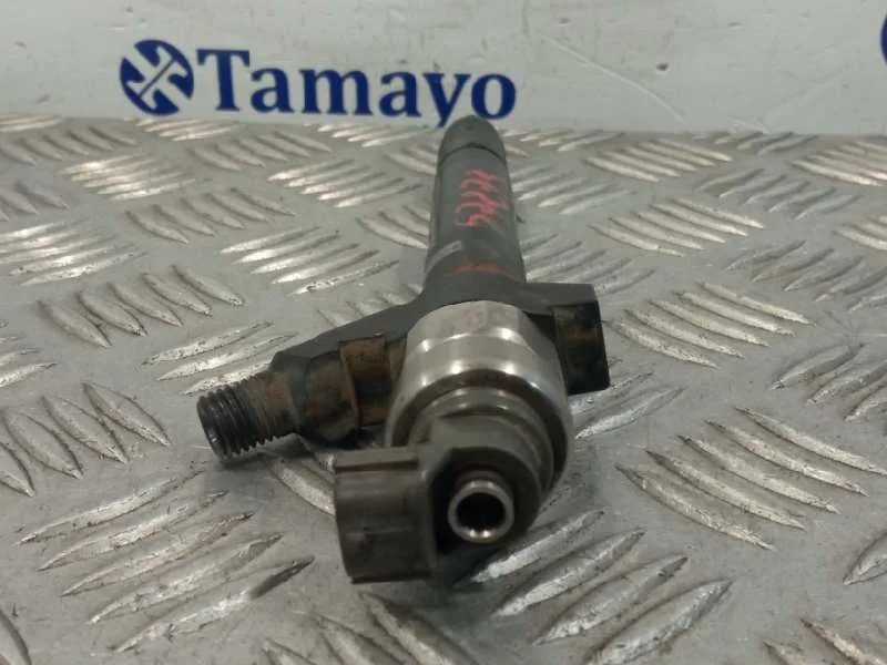 Inyector para Fiat Ducato Caja Cerrada 33, Techo Elevado (06.2006)
