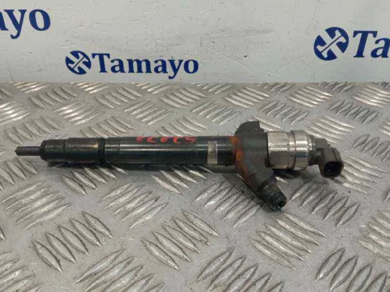 Inyector para Fiat Ducato Caja Cerrada 33, Techo Elevado (06.2006)