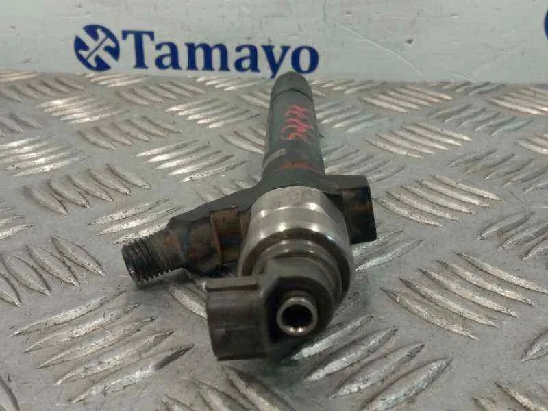 Inyector para Fiat Ducato Caja Cerrada 33, Techo Elevado (06.2006)