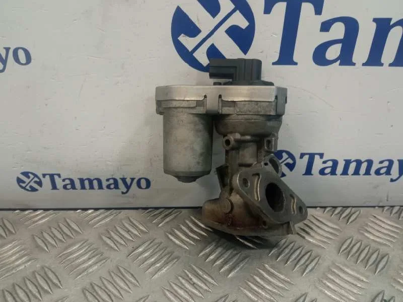 Valvula Egr para Fiat Ducato Caja Cerrada 33, Techo Elevado (06.2006)