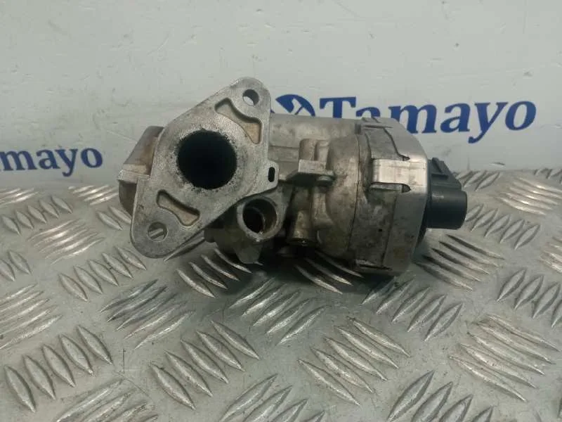 Valvula Egr para Fiat Ducato Caja Cerrada 33, Techo Elevado (06.2006)