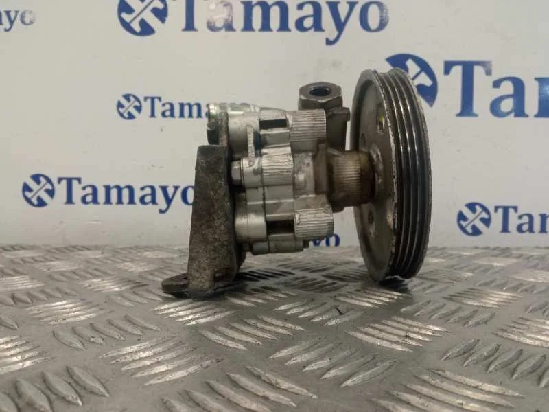 Bomba Direccion para Chrysler Voyager (Rg)