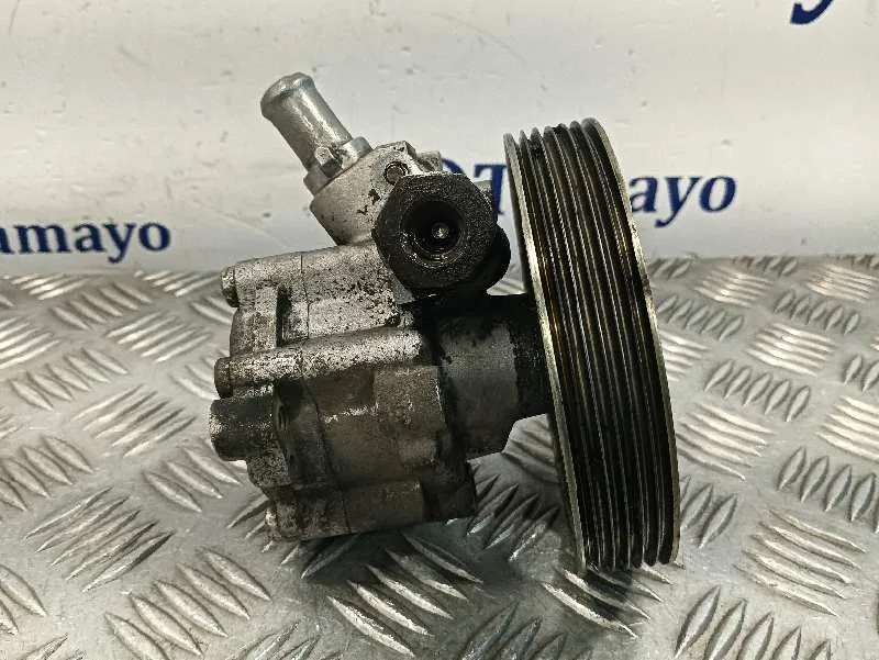 Bomba Servodireccion para Citroën Berlingo