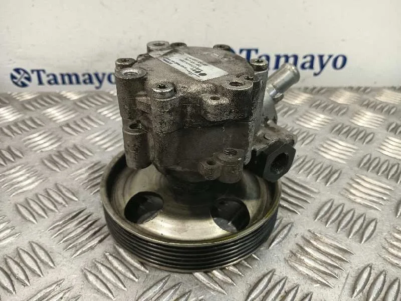 Bomba Servodireccion para Citroën Berlingo