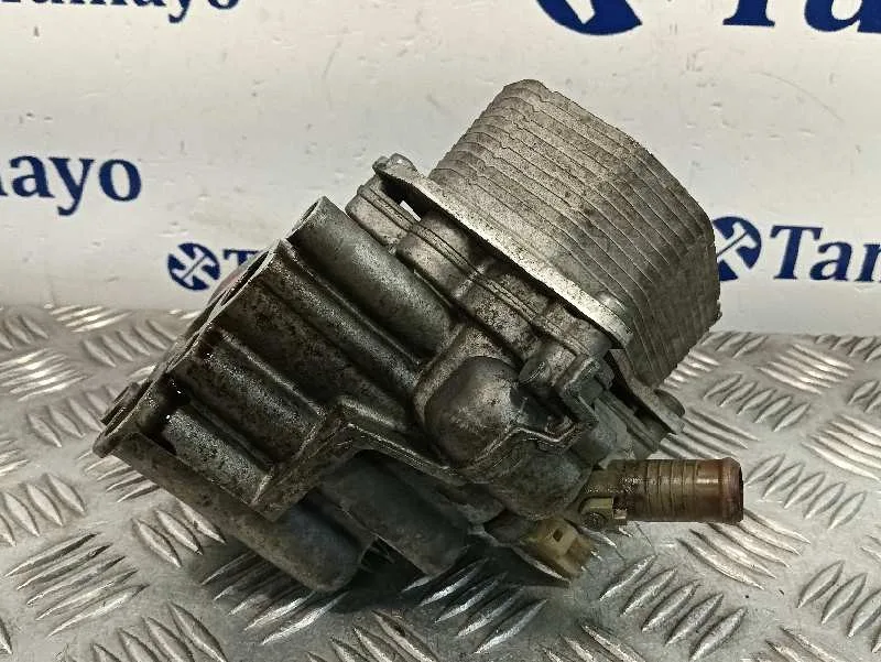 Enfriador Aceite Motor para Fiat Ducato Caja Cerrada 33, Techo Elevado (06.2006)