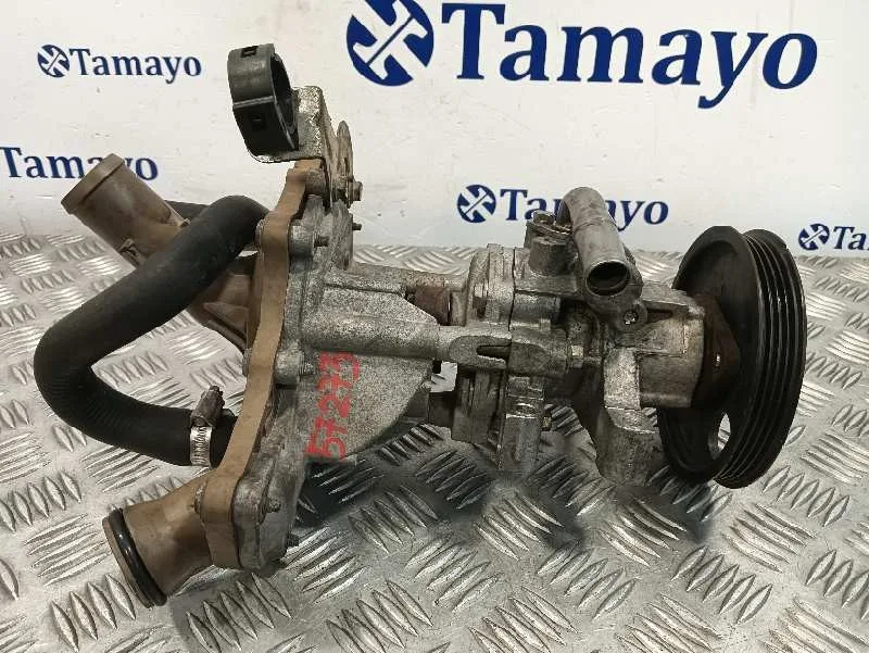 Bomba Servodireccion para Fiat Ducato Caja Cerrada 33, Techo Elevado (06.2006)