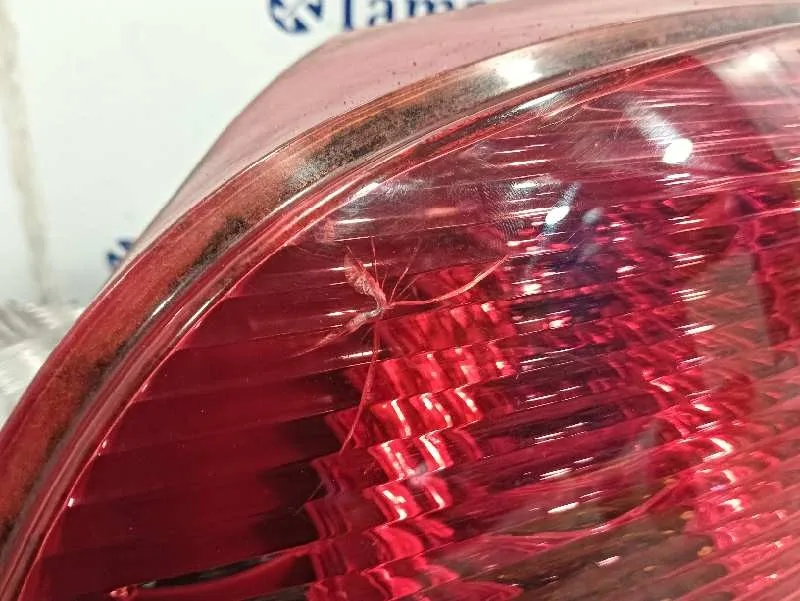 Piloto Trasero Derecho para Peugeot 307 (S1)