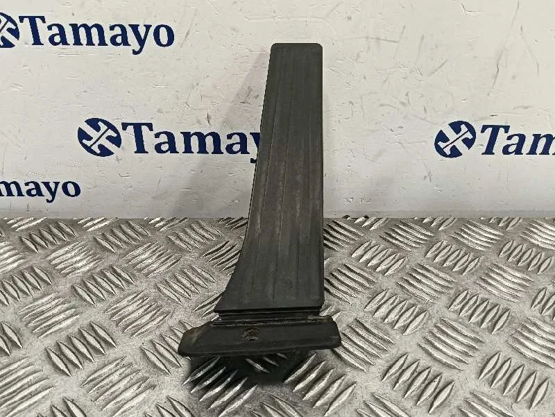 Pedal Acelerador para Bmw X3 (F25)