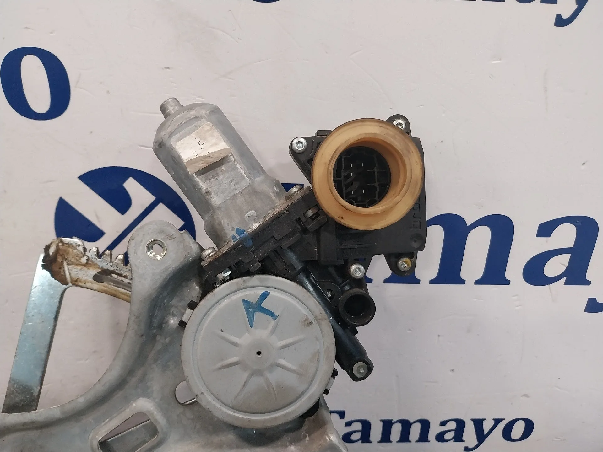 Elevalunas Trasero Izquierdo para Toyota Corolla Verso (R1)