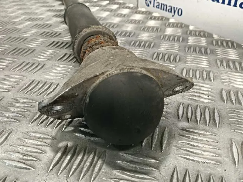 Amortiguador Trasero para Volkswagen Polo (9N1)