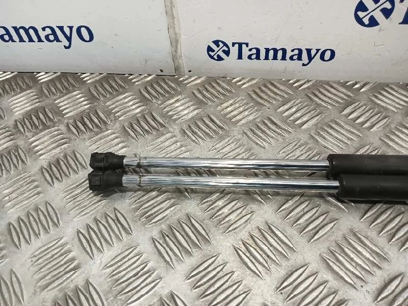 Amortiguadores Maletero / Porton para Peugeot Expert Tepee