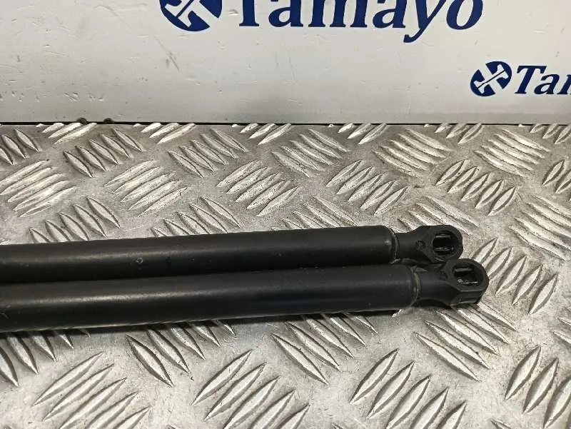 Amortiguadores Maletero / Porton para Peugeot Expert Tepee