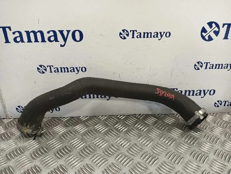 Tubo para Peugeot 308 Sw