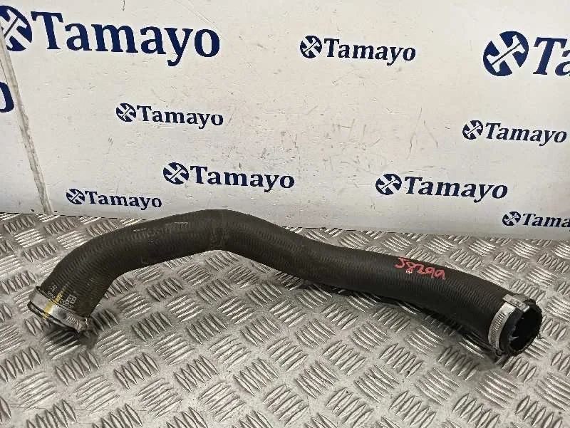 Tubo para Peugeot 308 Sw