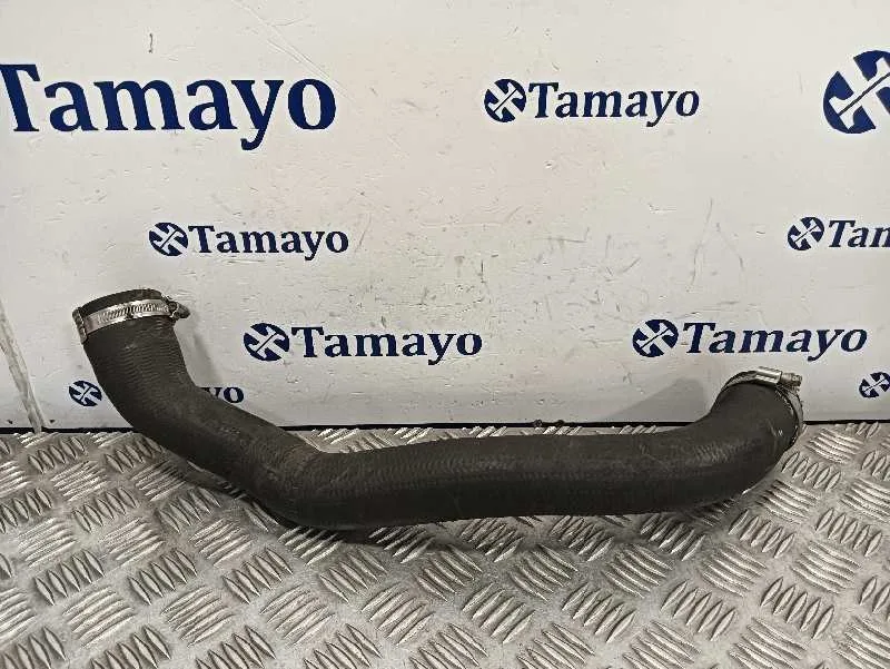 Tubo para Peugeot 308 Sw
