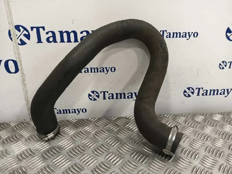 Tubo para Peugeot 308 Sw