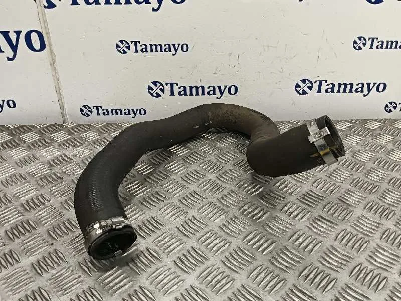 Tubo para Peugeot 308 Sw
