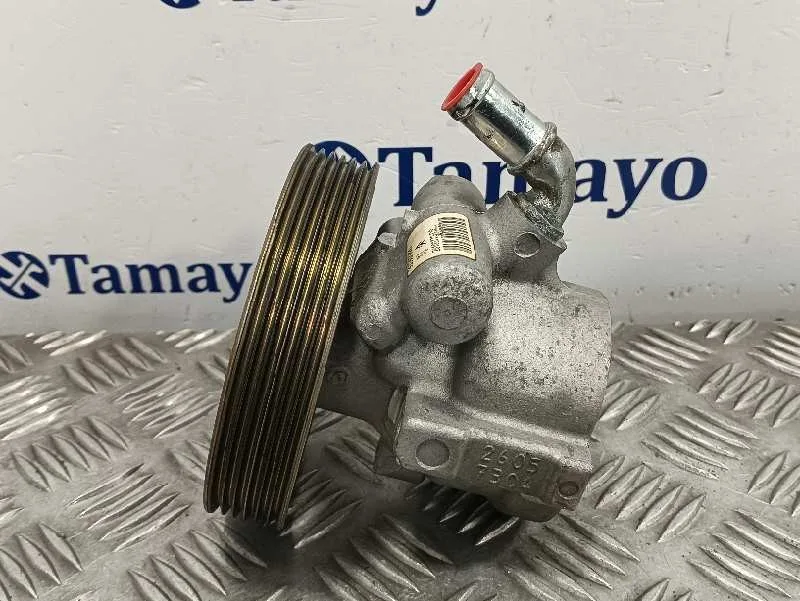 Bomba Direccion para Citroën Xsara Picasso