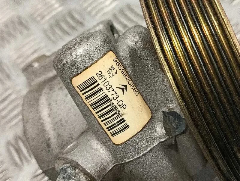 Bomba Direccion para Citroën Xsara Picasso