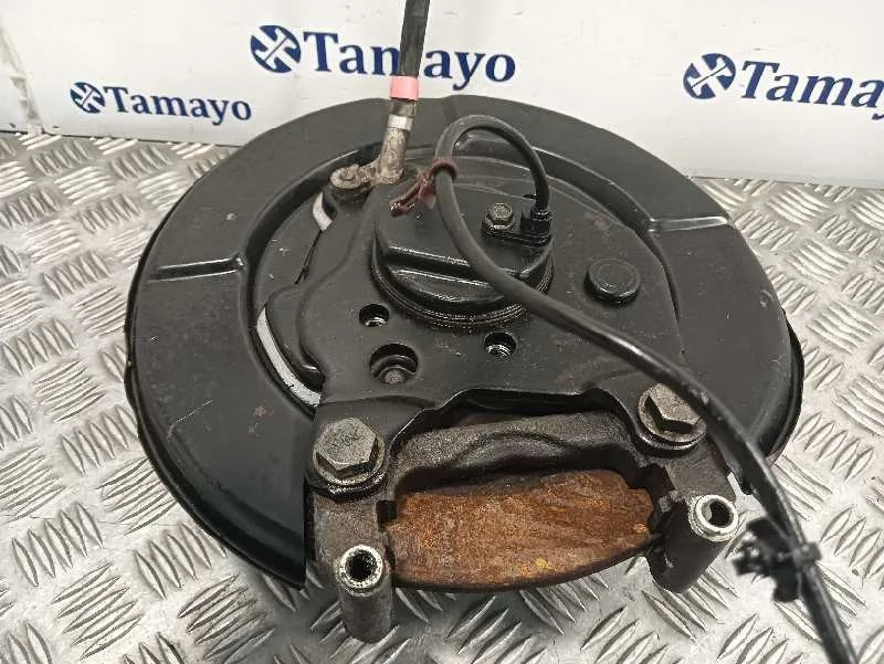 Mangueta Trasera Derecha para Nissan Qashqai (J10)