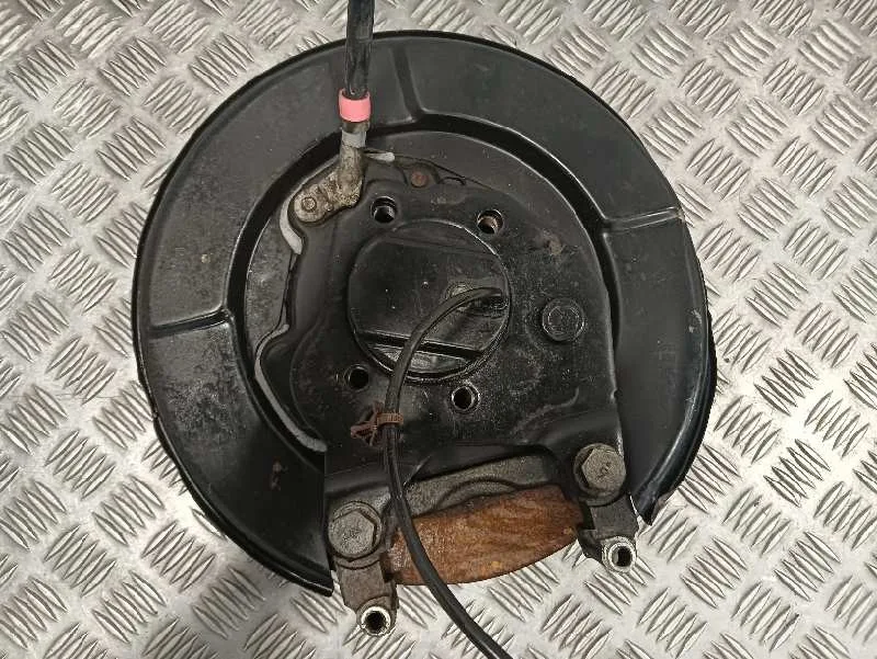 Mangueta Trasera Derecha para Nissan Qashqai (J10)