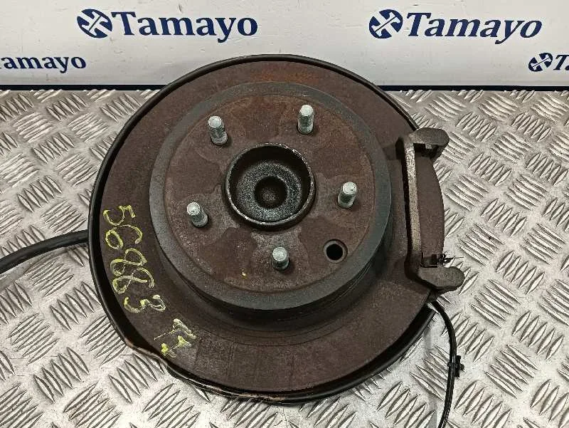 Mangueta Trasera Izquierda para Nissan Qashqai (J10)