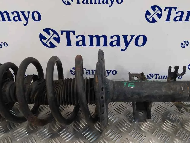 Amortiguador Delantero Izquierdo para Volkswagen T5 Transporter/Furgoneta