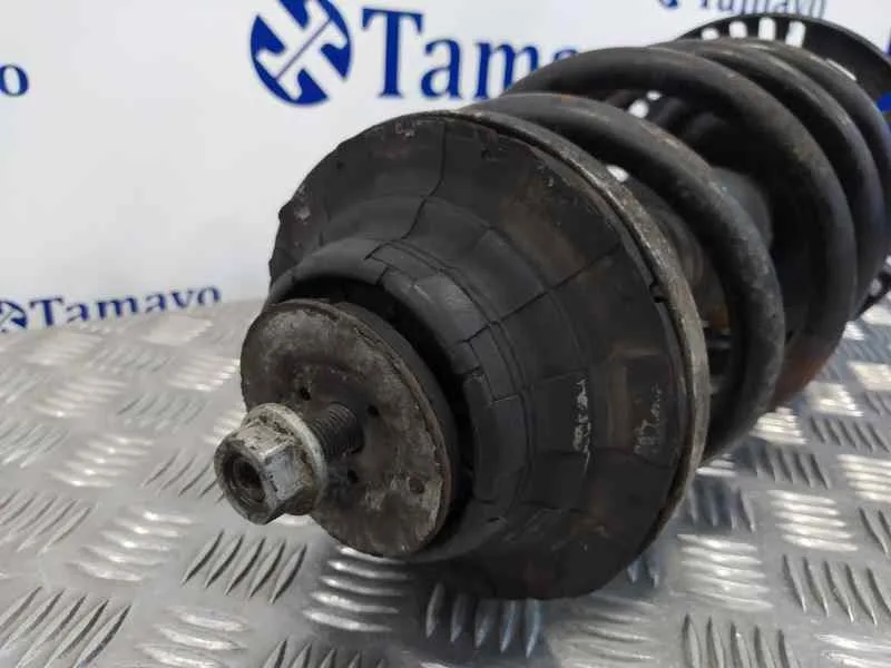 Amortiguador Delantero Izquierdo para Volkswagen T5 Transporter/Furgoneta