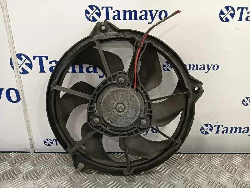 Electroventilador para Peugeot Expert Tepee