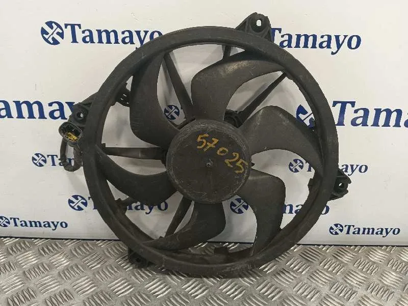Electroventilador para Peugeot Expert Tepee