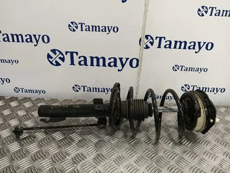 Amortiguador Delantero Derecho para Renault Scenic Ii