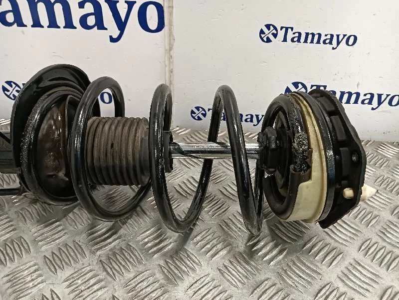 Amortiguador Delantero Derecho para Renault Scenic Ii