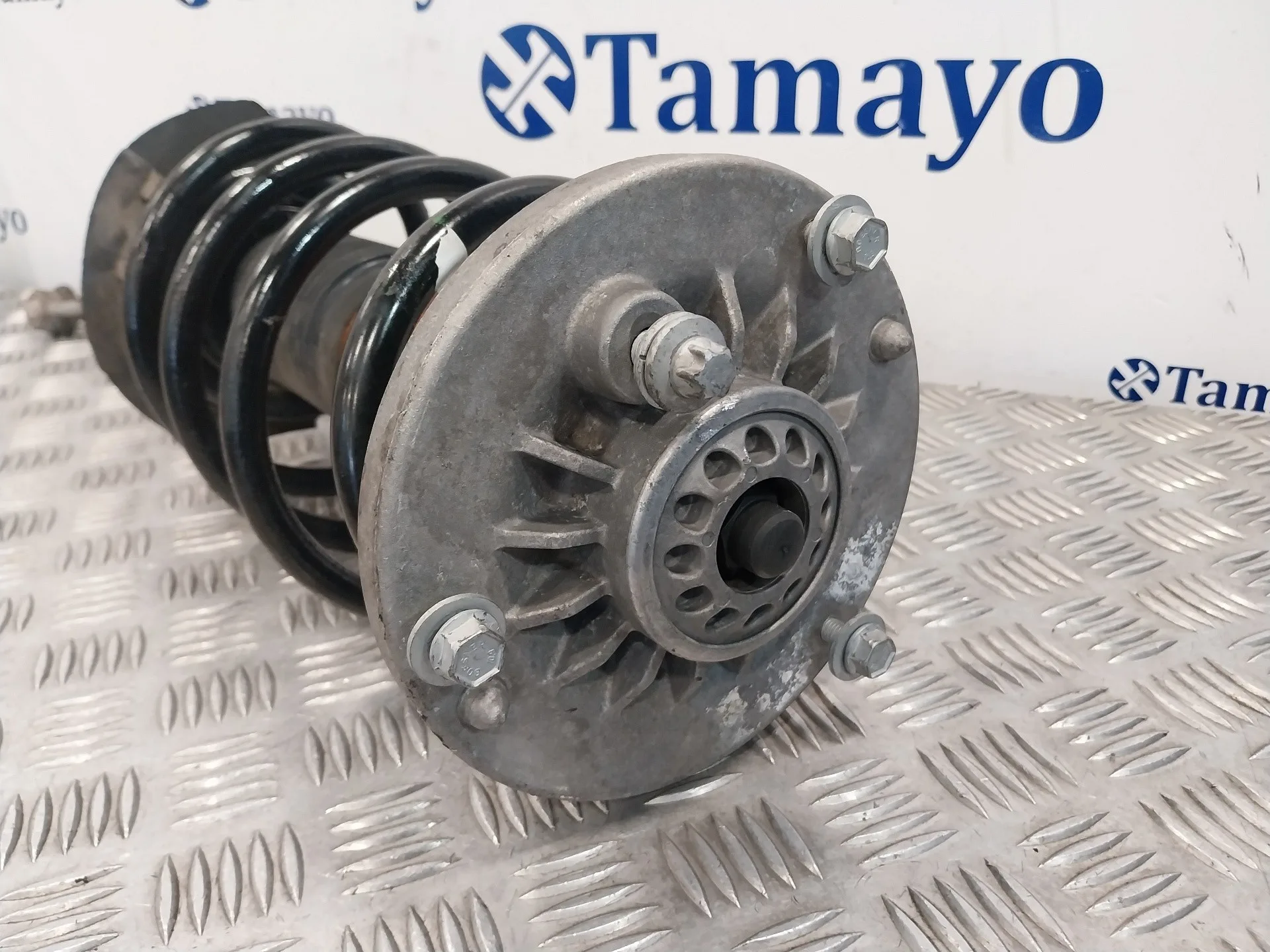 Amortiguador Delantero Izquierdo para Bmw X3 (F25)