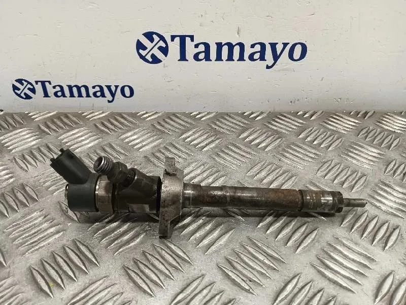 Inyector para Fiat Bravo (198)