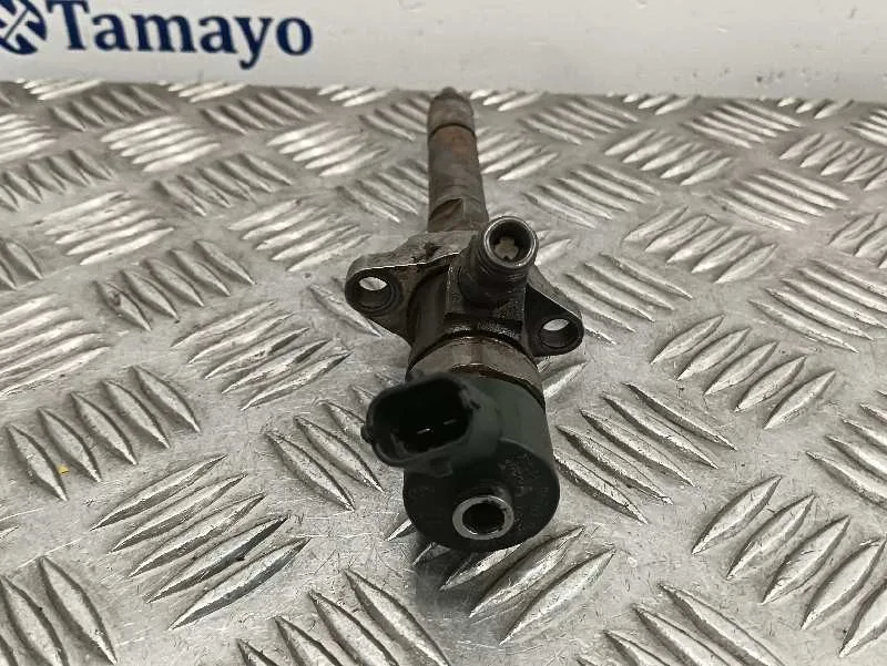 Inyector para Fiat Bravo (198)