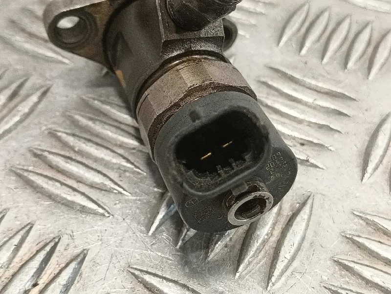 Inyector para Fiat Bravo (198)