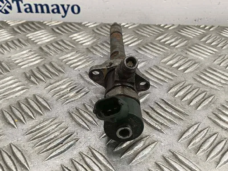 Inyector para Fiat Bravo (198)