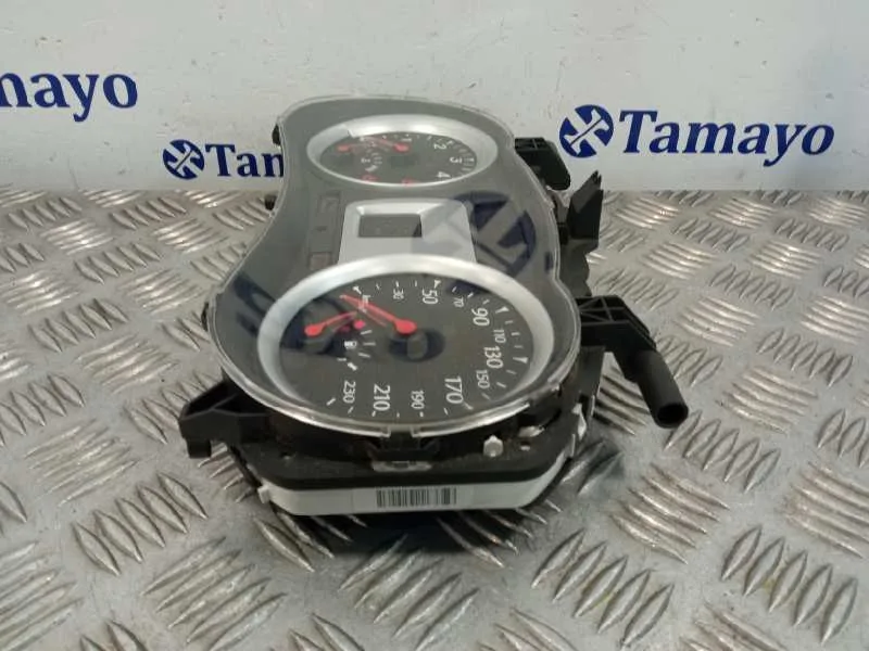 Cuadro Instrumentos para Renault Clio Iii