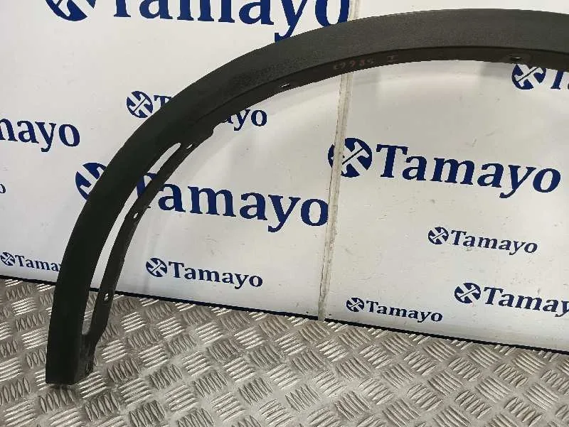 Aletin Delantero Izquierdo para Bmw X6 (F16, F86)