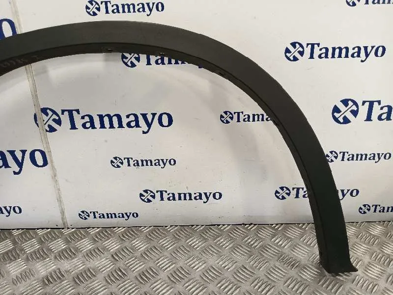 Aletin Delantero Izquierdo para Bmw X6 (F16, F86)