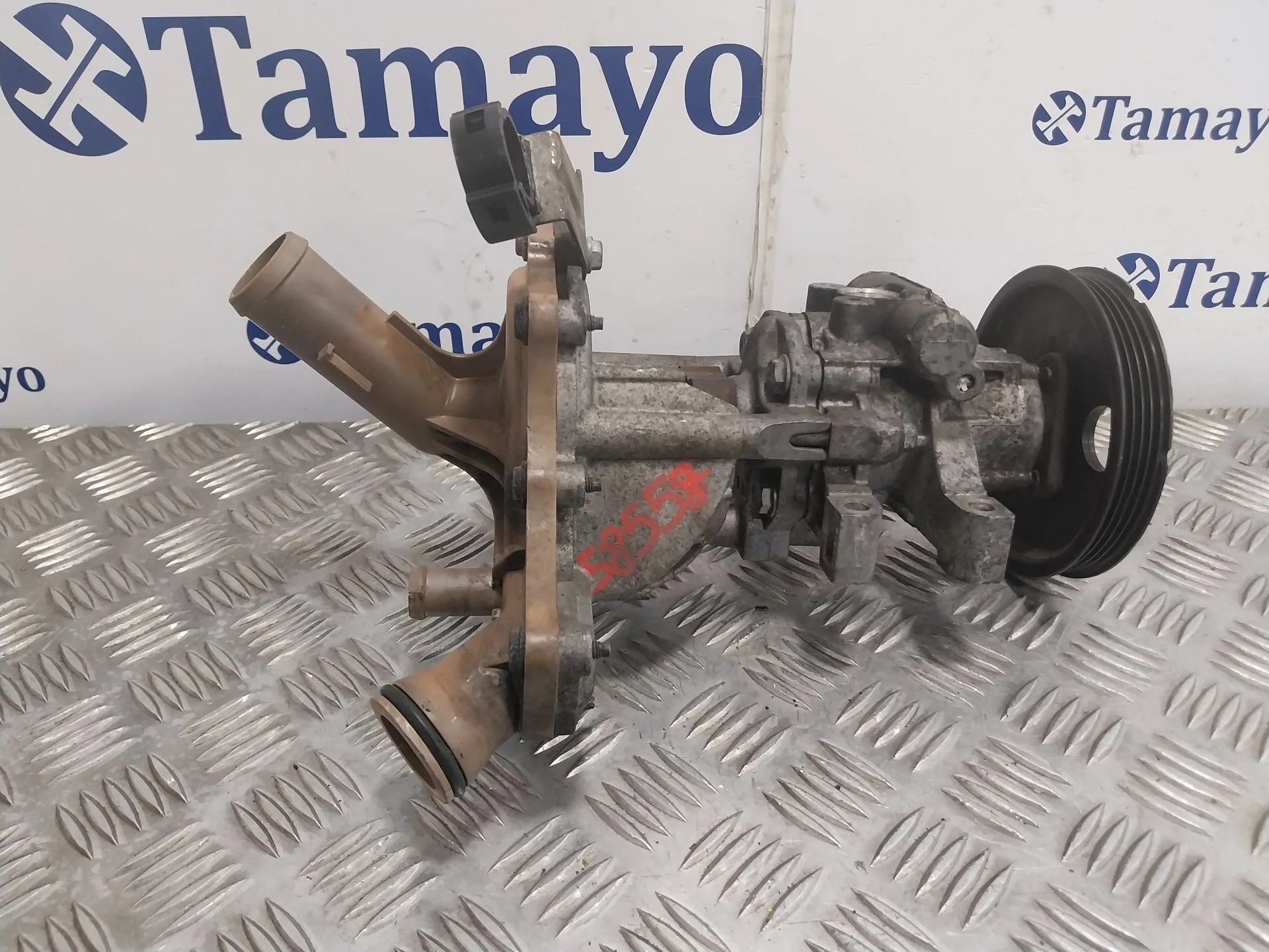 Bomba Direccion para Ford Transit Connect