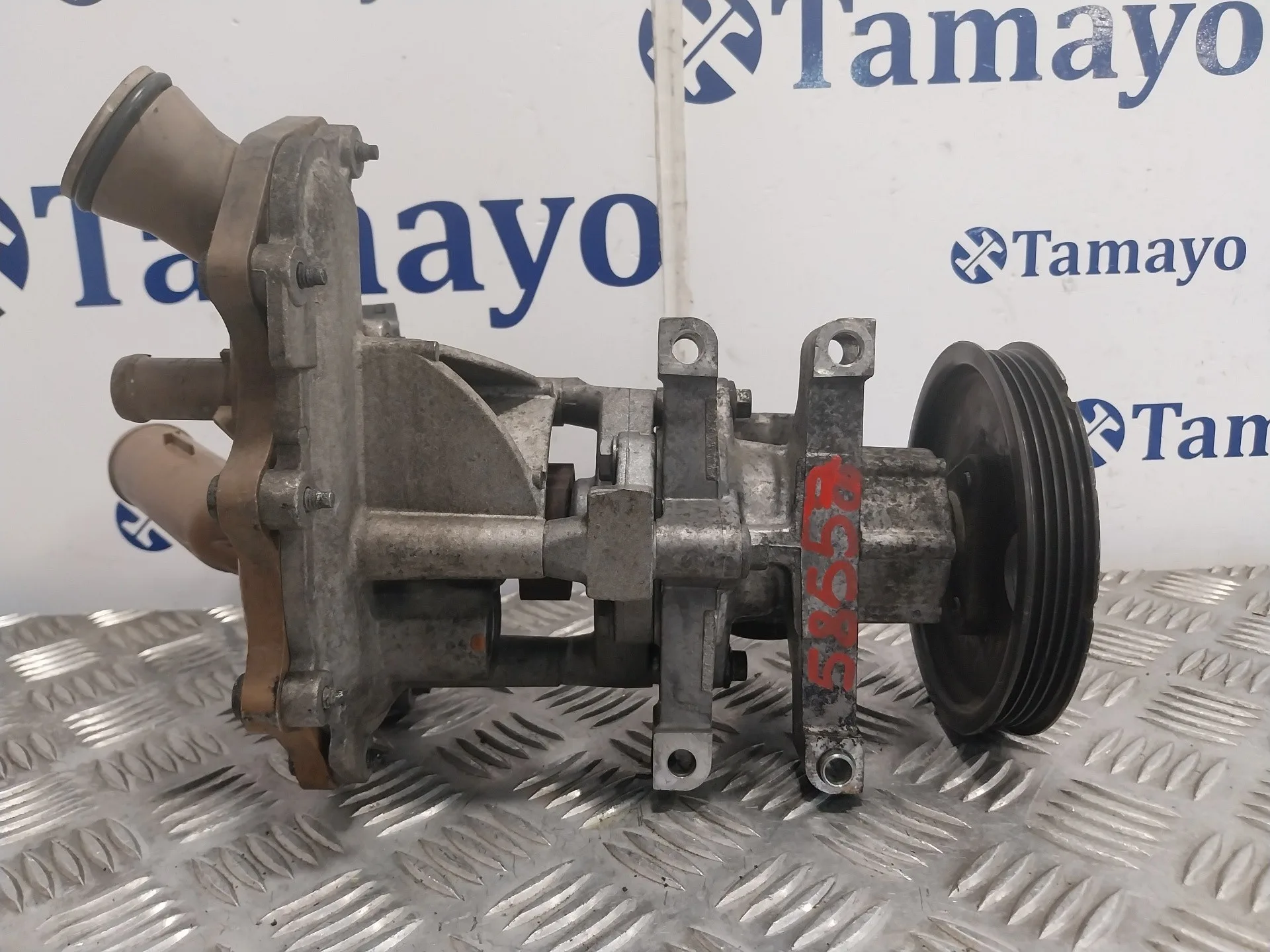 Bomba Direccion para Ford Transit Connect