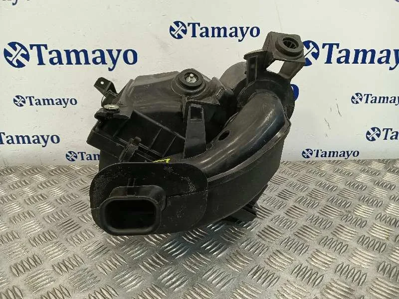 Carcasa Filtro Aire para Nissan Pathfinder (R51)
