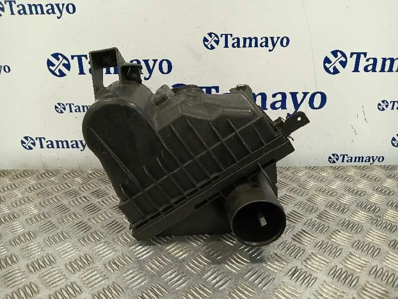 Carcasa Filtro Aire para Nissan Pathfinder (R51)