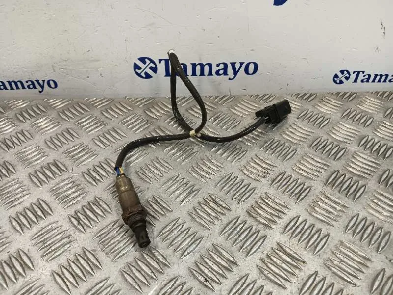 Sonda Lambda para Skoda Octavia Lim. (5E3)