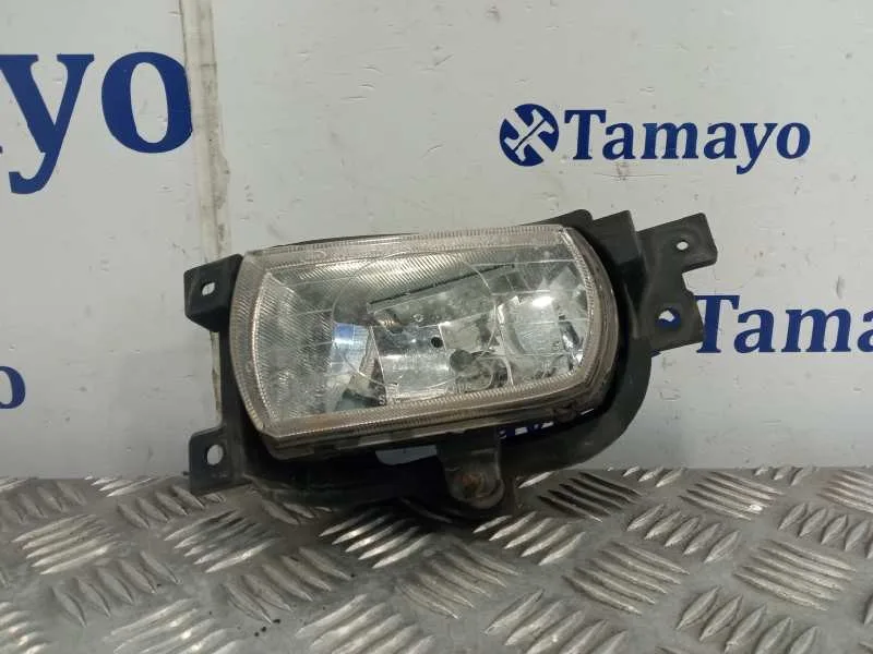 Faro Antiniebla Izquierdo para Kia Carnival