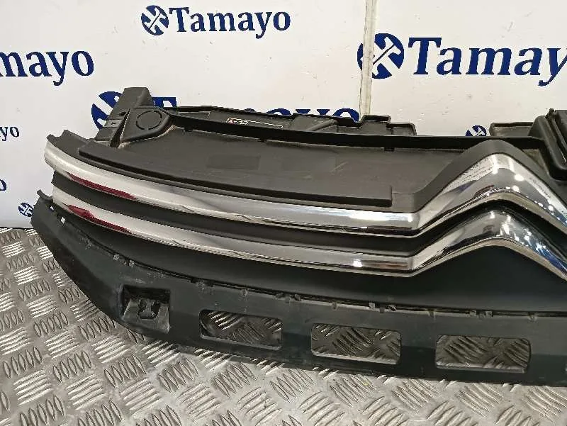 Rejilla Delantera para Citroën C3