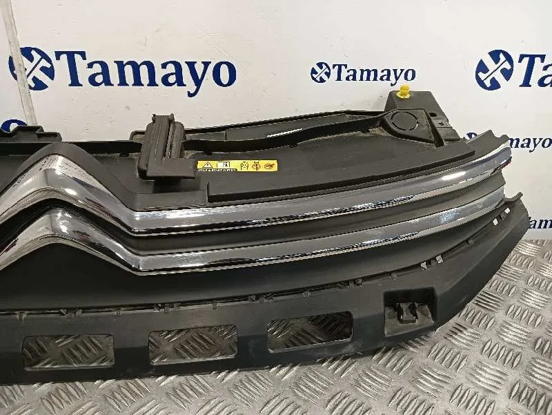 Rejilla Delantera para Citroën C3