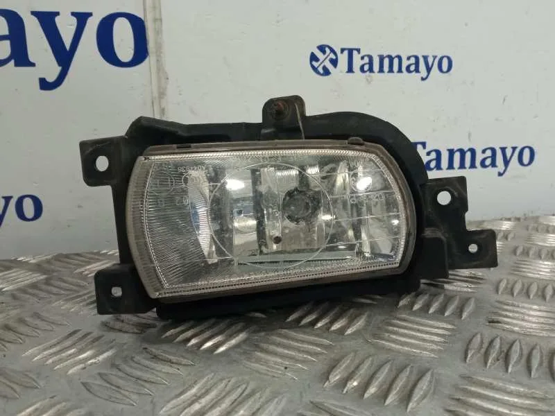 Faro Antiniebla Derecho para Kia Carnival