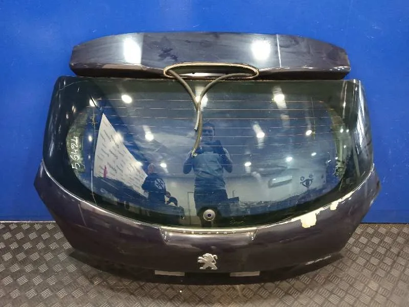 Porton Trasero para Peugeot 208